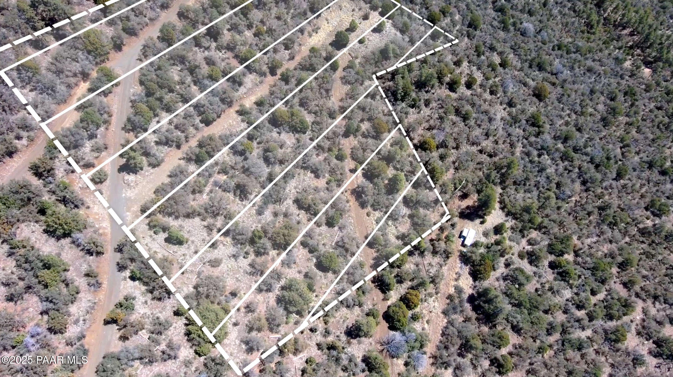 33 East Bald Mountain Road Prescott, AZ 86303 - Photo 13 of 21 a close up of a plant