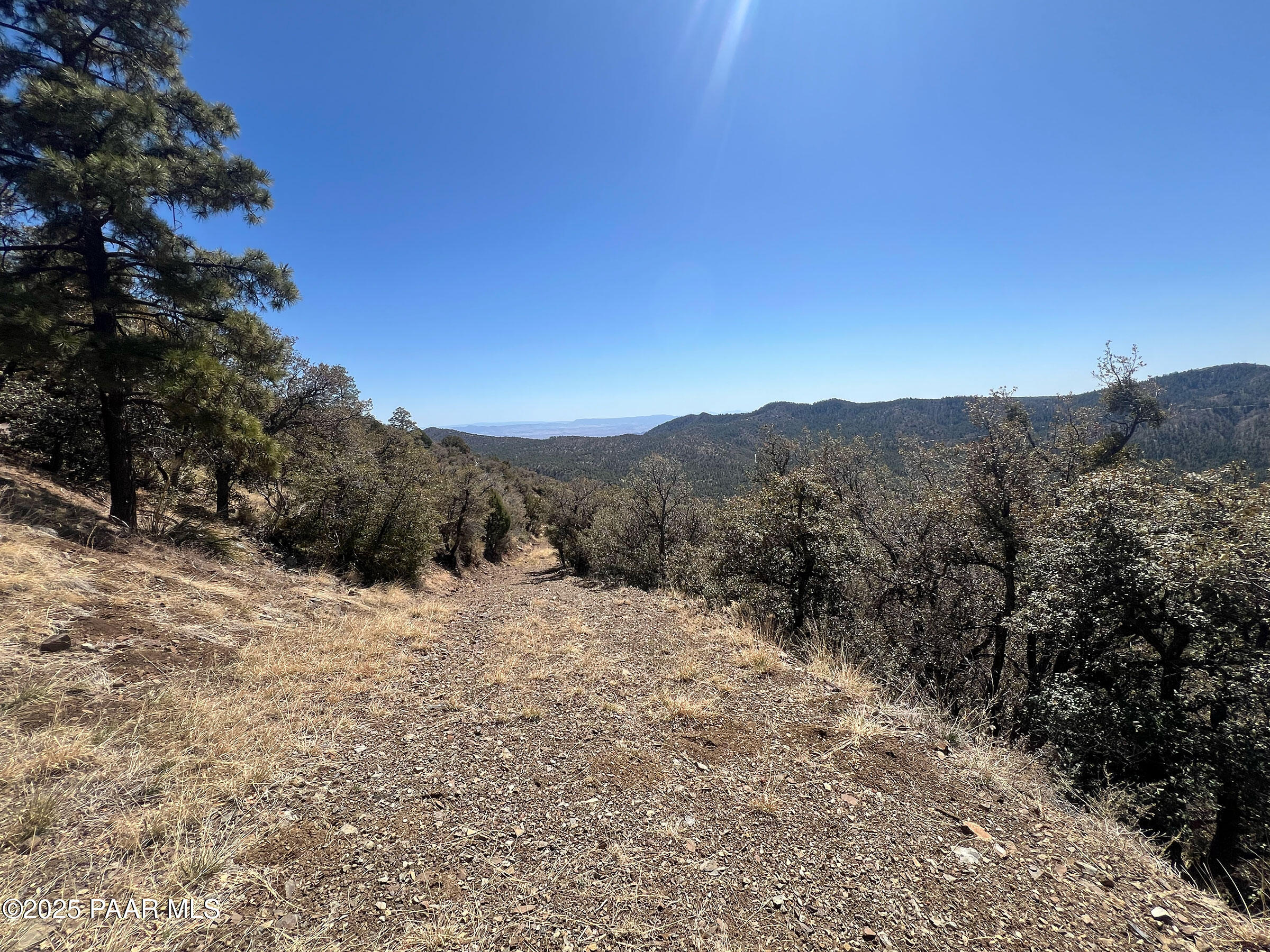 33 East Bald Mountain Road Prescott, AZ 86303 - Photo 14 of 21 a view of a mountain range with trees in the background