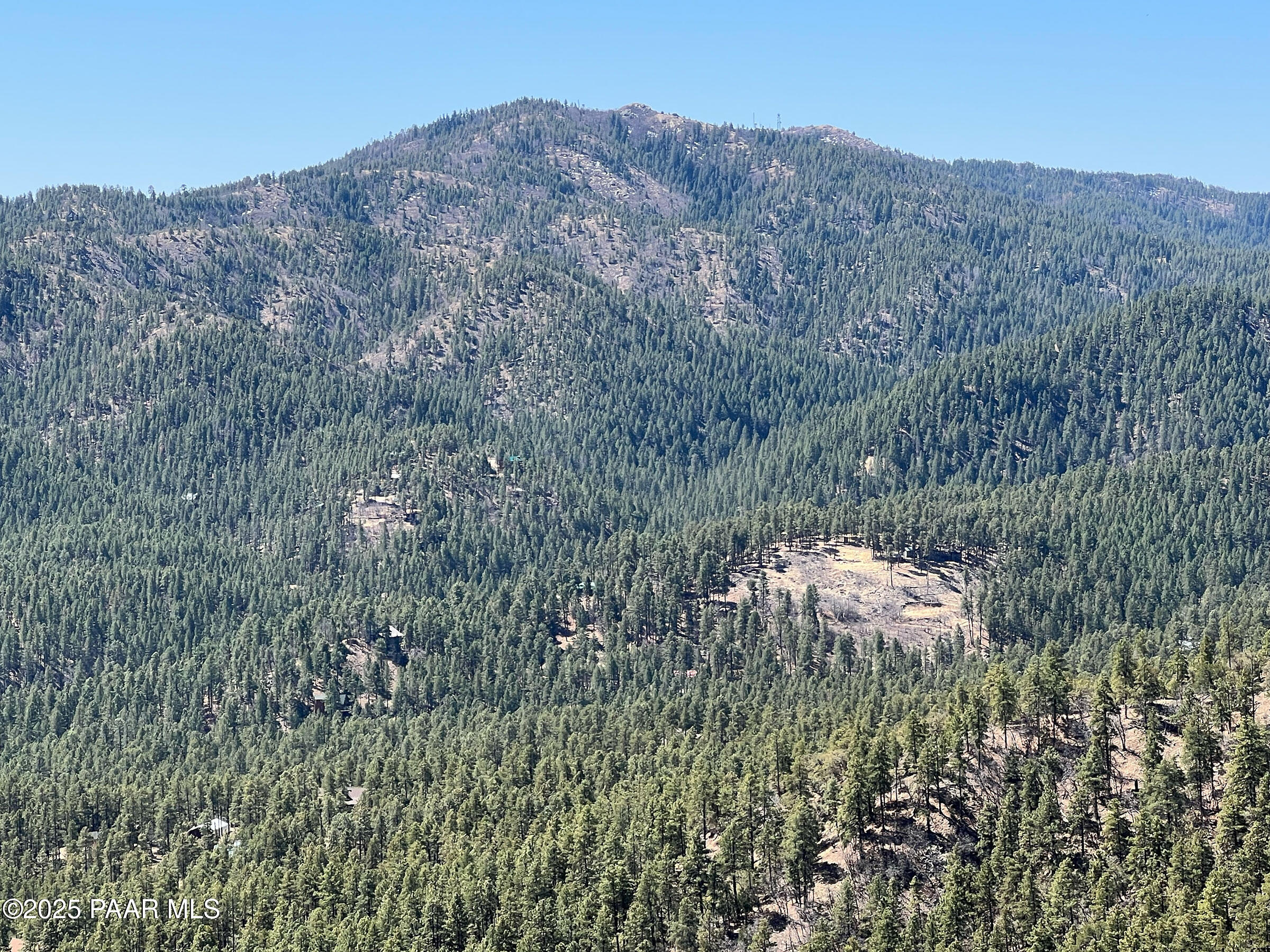 33 East Bald Mountain Road Prescott, AZ 86303 - Photo 19 of 21 a view of a lush green field