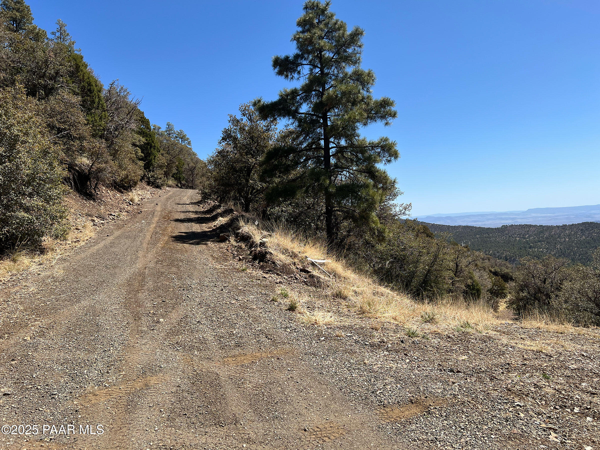 33 East Bald Mountain Road Prescott, AZ 86303 - Photo 2 of 21 a view of outdoor space and trees