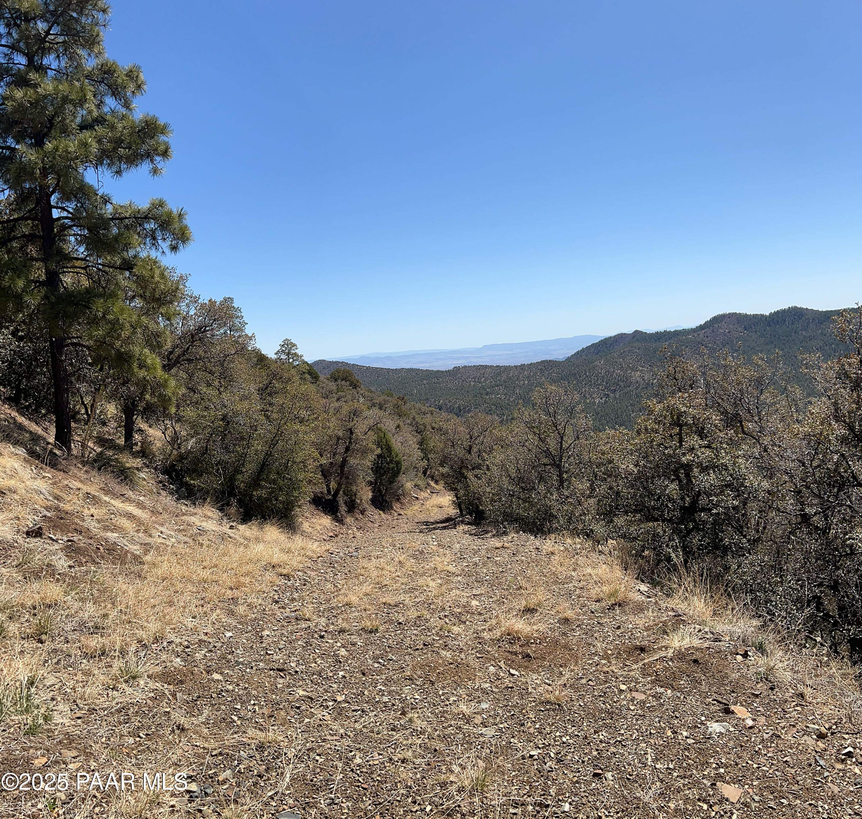 33 East Bald Mountain Road Prescott, AZ 86303 - Photo 3 of 21 a view of a dry covered with trees in the background