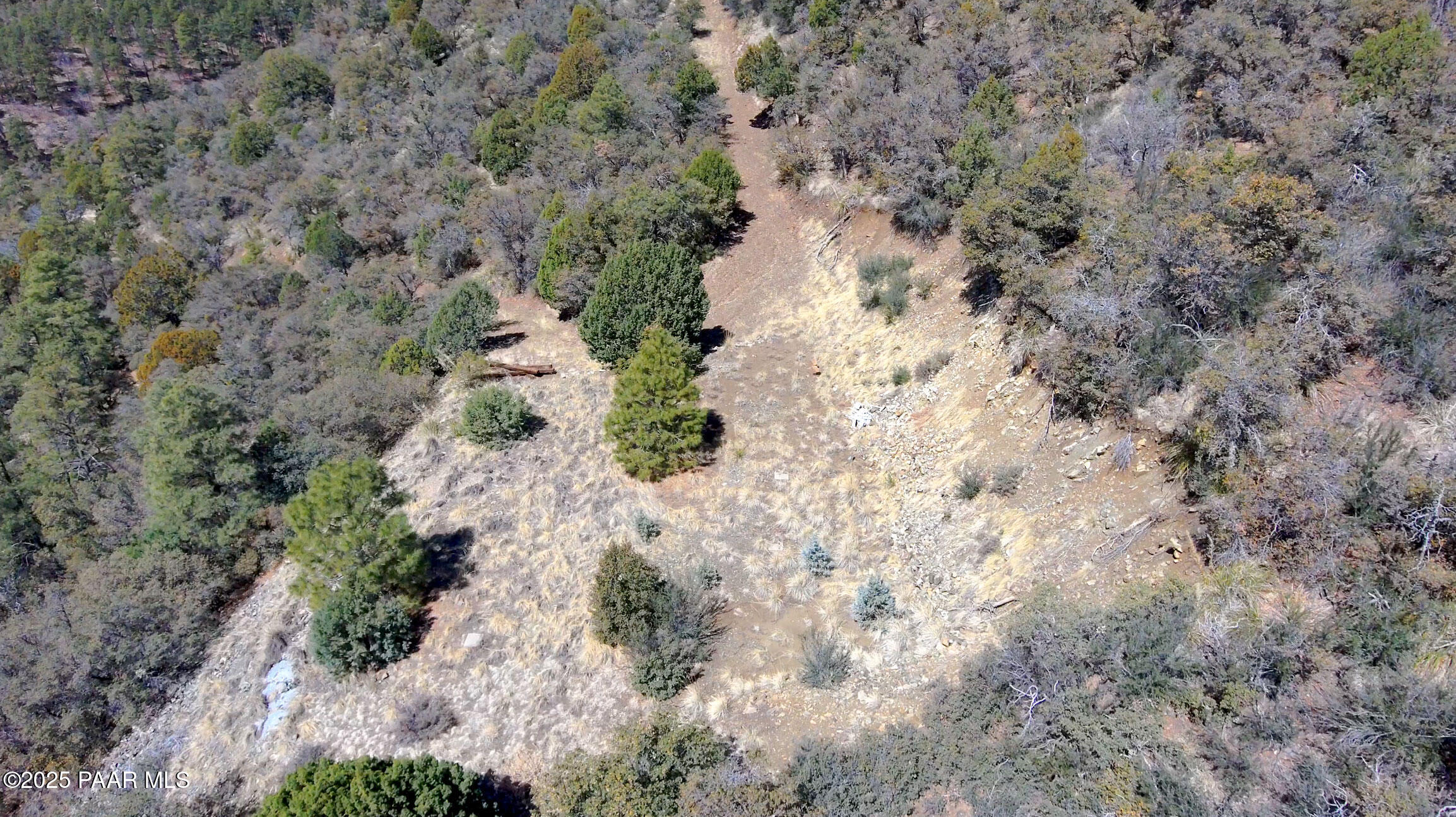 33 East Bald Mountain Road Prescott, AZ 86303 - Photo 7 of 21 a view of a yard with plants and trees