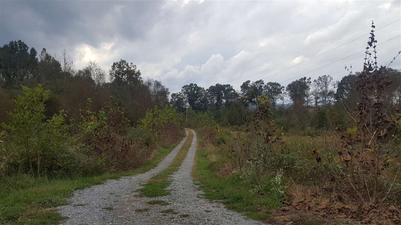 150 McHone Lane Decatur, TN 37322 - Photo 39 of 42 Gallery Image 39