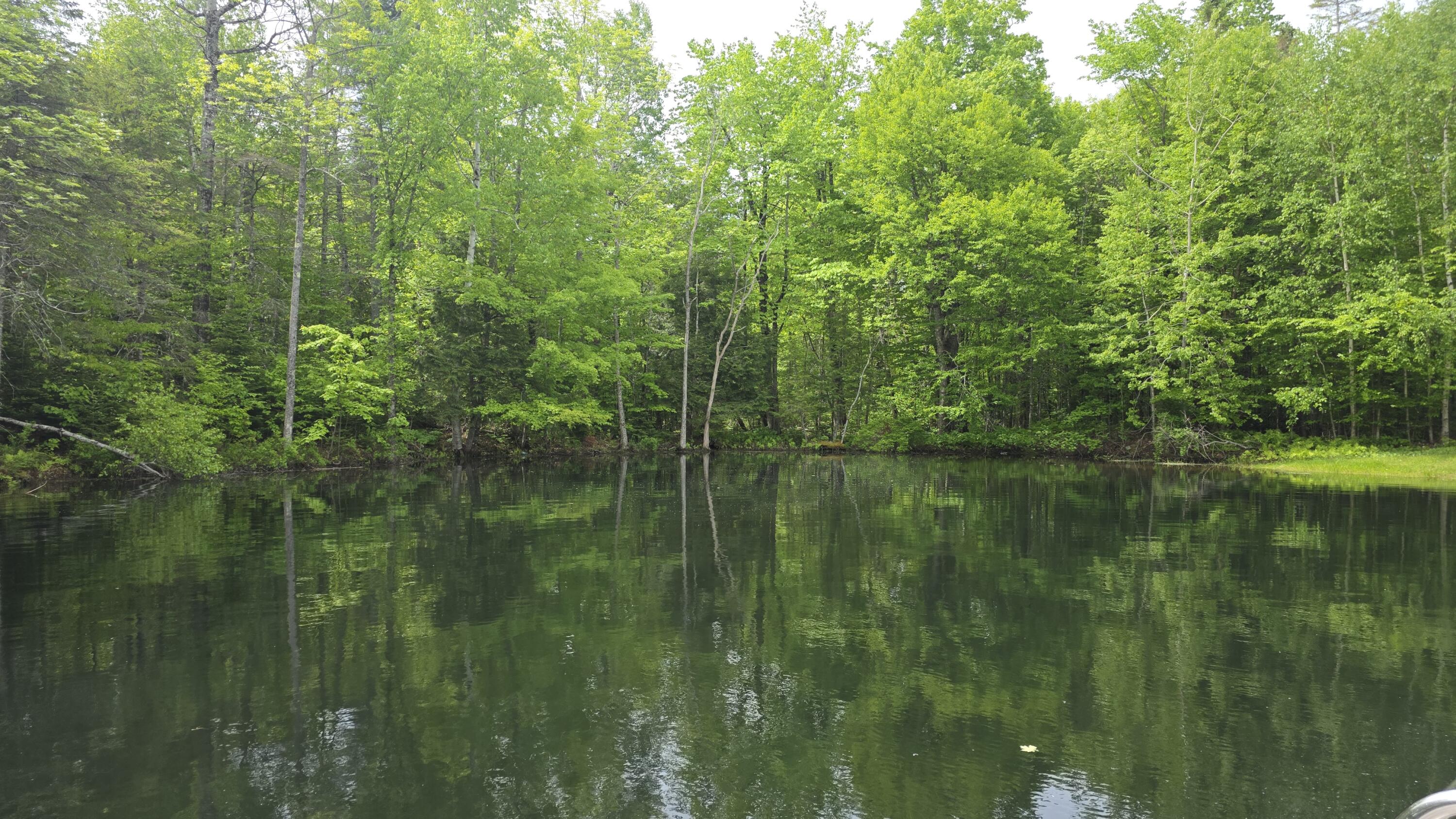 Lot 17 East Thorndike Road Thorndike, ME 04986 - Photo 28 of 31 Pond