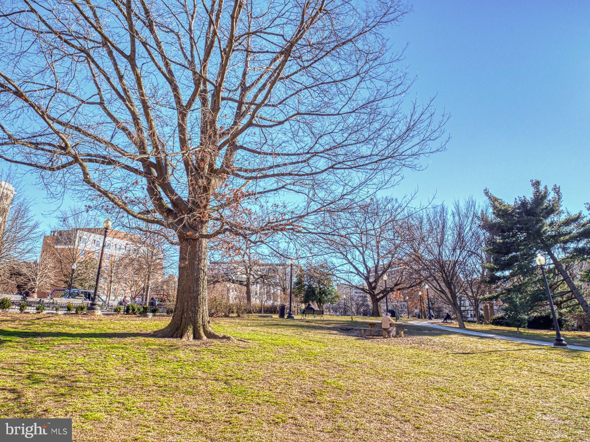 1808 Belmont Road Northwest, Unit 1 Washington, DC 20009 - Photo 28 of 30 Parks and playgrounds moments away