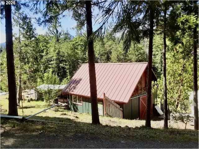 a view of yard with trees
