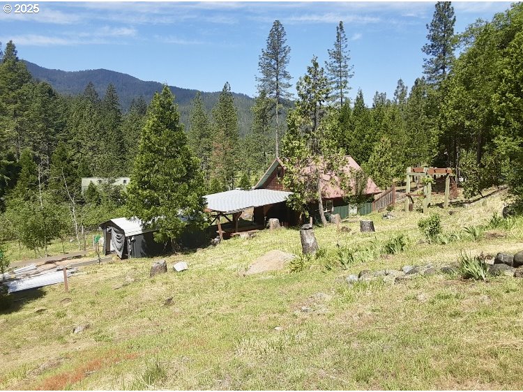 4580 Old House Creek Road Agness, OR 97406 - Photo 34 of 46 a view of a yard with a snow