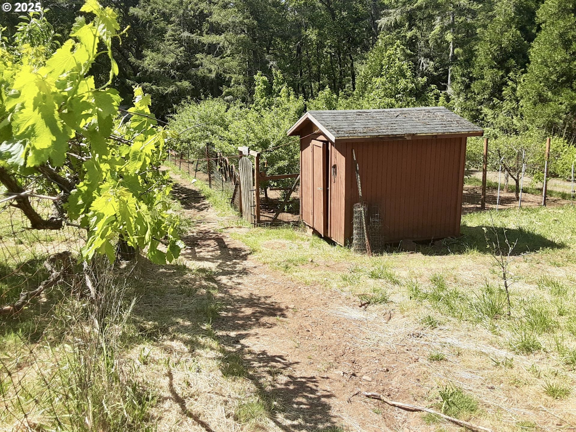 4580 Old House Creek Road Agness, OR 97406 - Photo 38 of 46 a backyard of a house