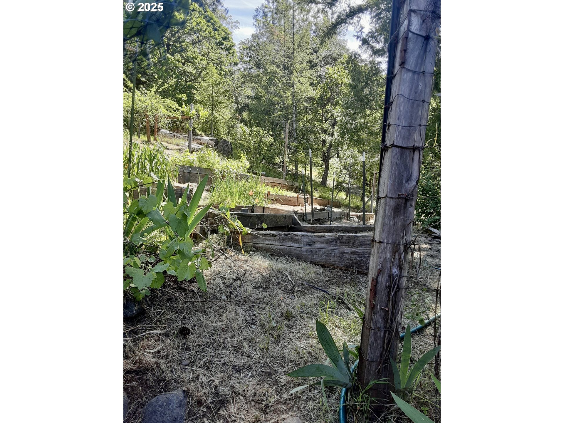 4580 Old House Creek Road Agness, OR 97406 - Photo 39 of 46 a backyard of a house with lots of green space
