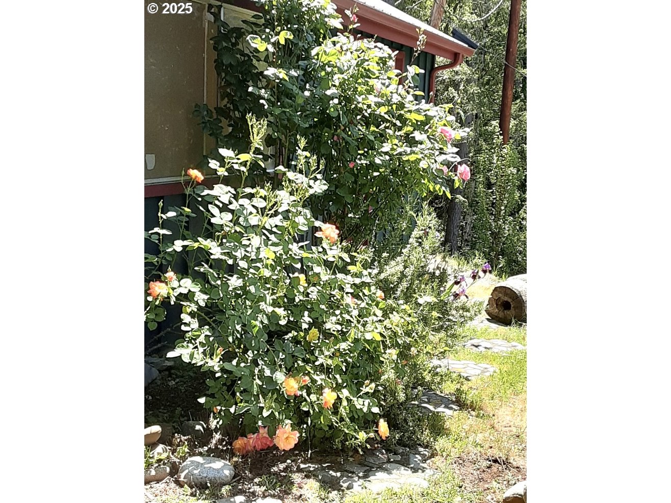 4580 Old House Creek Road Agness, OR 97406 - Photo 43 of 46