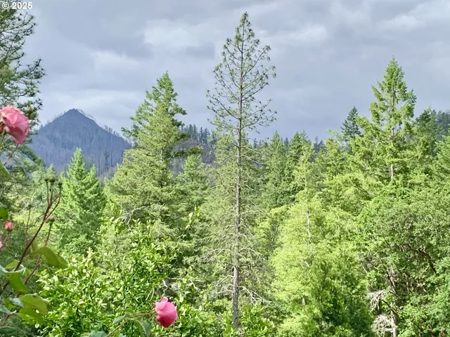 $490,000 | 4580 Old House Creek Road, Agness, OR 97406