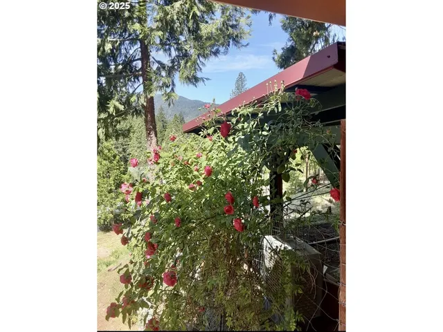 a view of a large window with an outdoor space