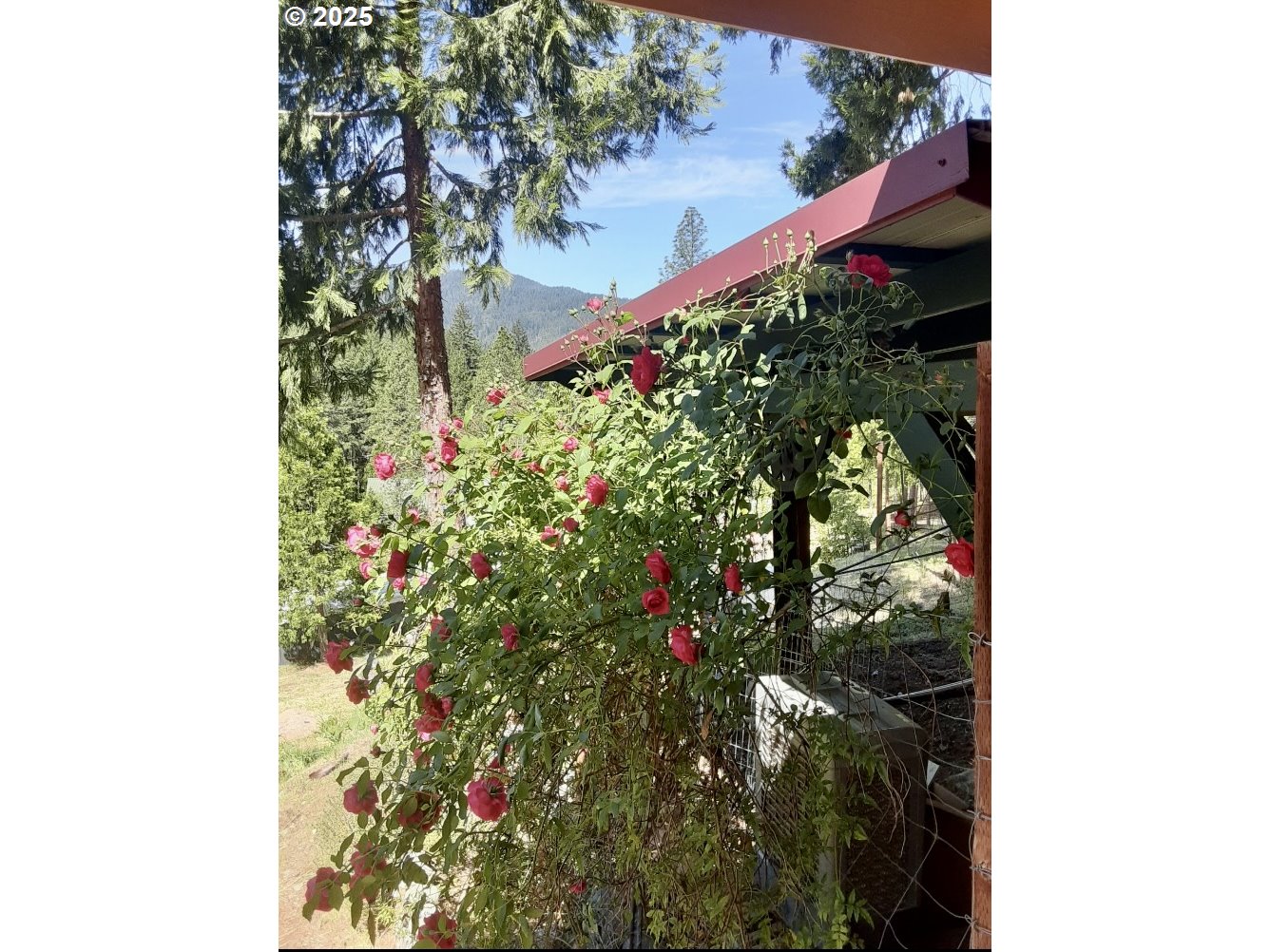 4580 Old House Creek Road Agness, OR 97406 - Photo 8 of 46