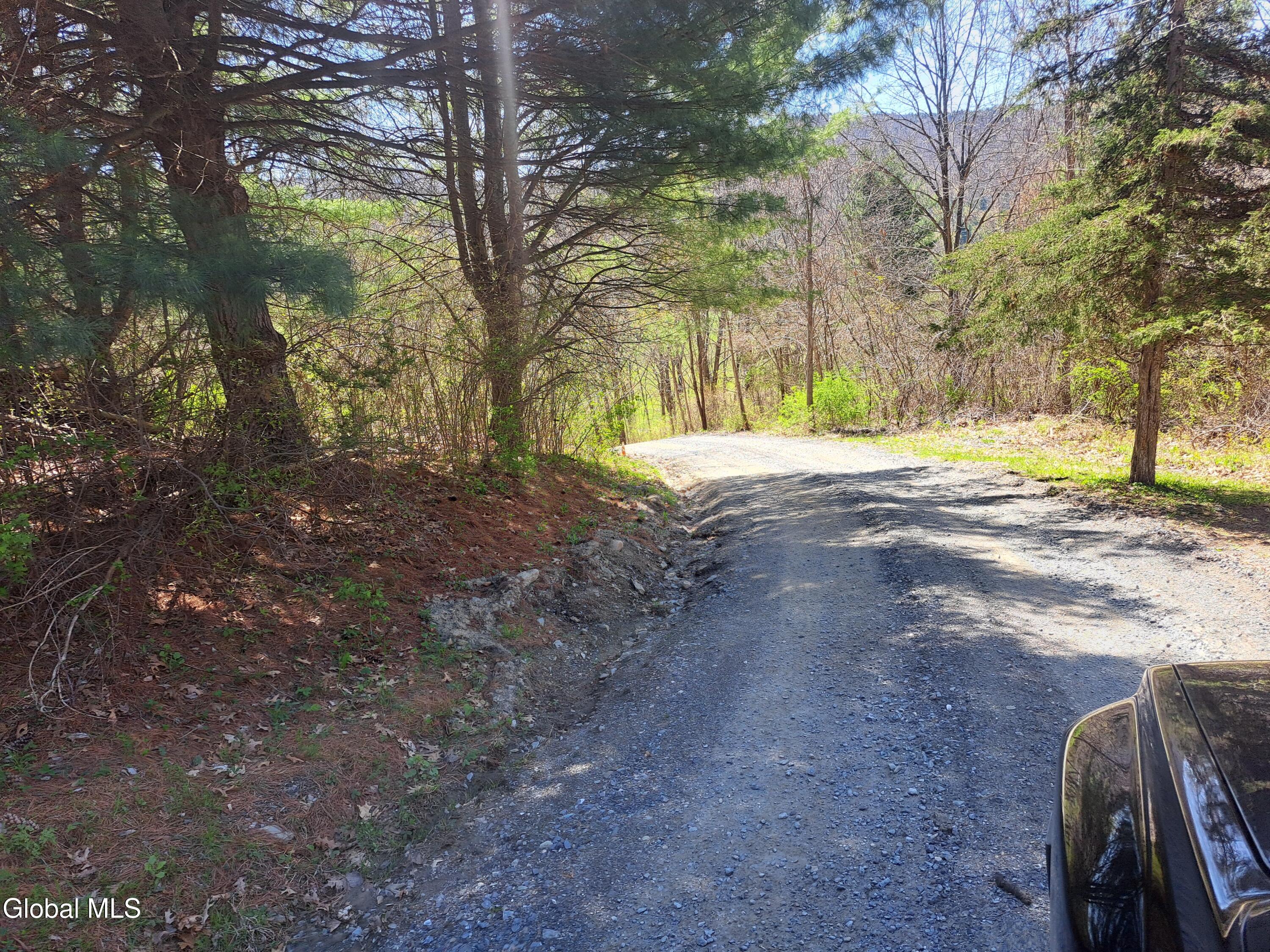 277 Breese Hollow Road Hoosick, NY 12089 - Photo 36 of 52 36 Gravel Driveway