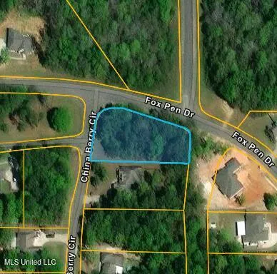 $358,020 | Lot 33 Chinaberry Circle, Carriere, MS 39426