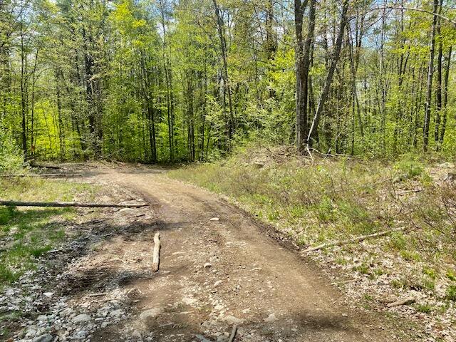 42-ac 42-ac Ben Gilpatrick Road Hiram, ME 04041 - Photo 11 of 14 IMG_7689