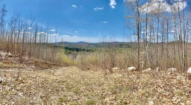 $209,000 | 42-ac 42-ac Ben Gilpatrick Road, Hiram, ME 04041