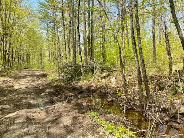 $209,000 | 42-ac 42-ac Ben Gilpatrick Road, Hiram, ME 04041