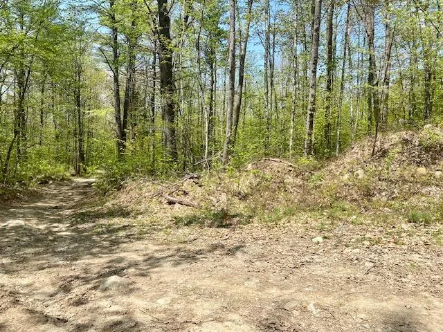 $209,000 | 42-ac 42-ac Ben Gilpatrick Road, Hiram, ME 04041