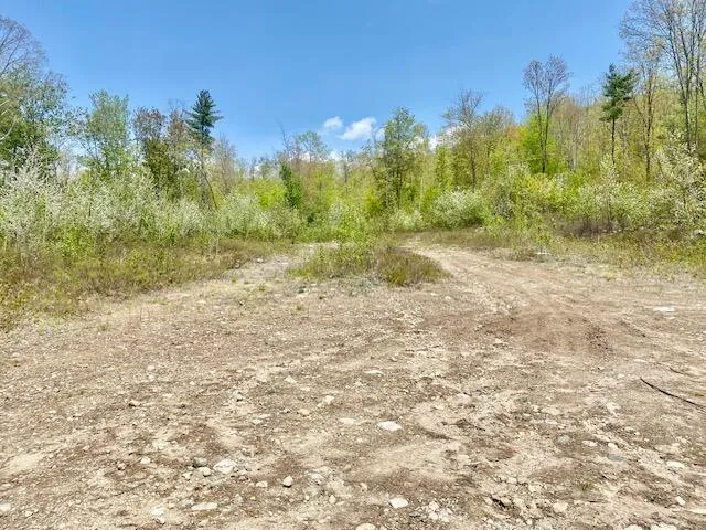 $209,000 | 42-ac 42-ac Ben Gilpatrick Road, Hiram, ME 04041