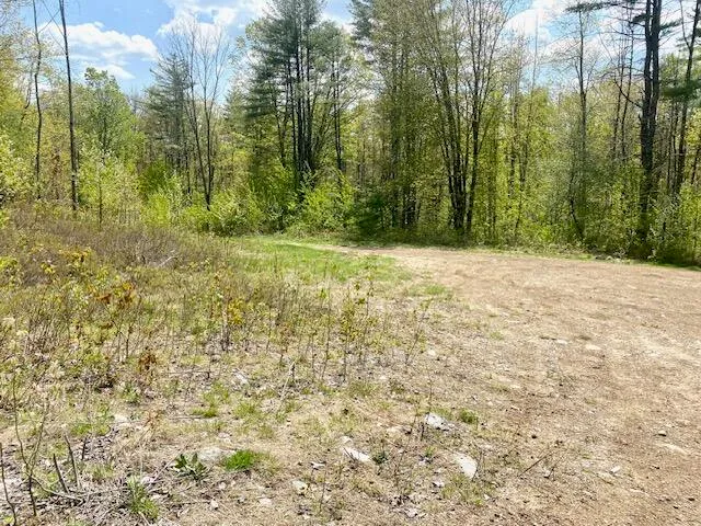 $209,000 | 42-ac 42-ac Ben Gilpatrick Road, Hiram, ME 04041