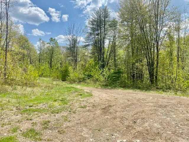 $209,000 | 42-ac 42-ac Ben Gilpatrick Road, Hiram, ME 04041