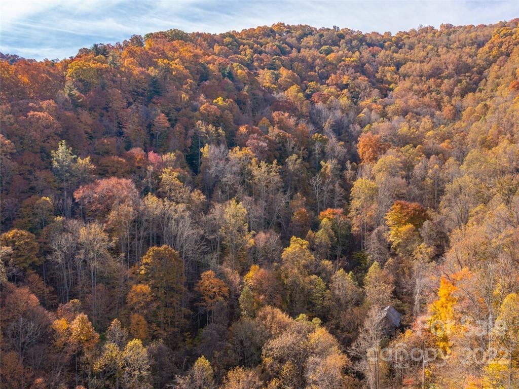 0 Drake Cove Road Mars Hill, NC 28754 - Photo 14 of 33 a view of a city