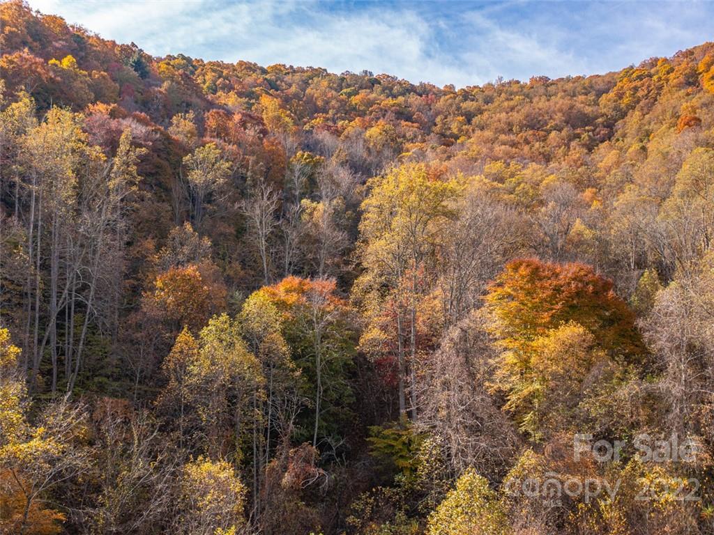 0 Drake Cove Road Mars Hill, NC 28754 - Photo 15 of 33 a view of a houses