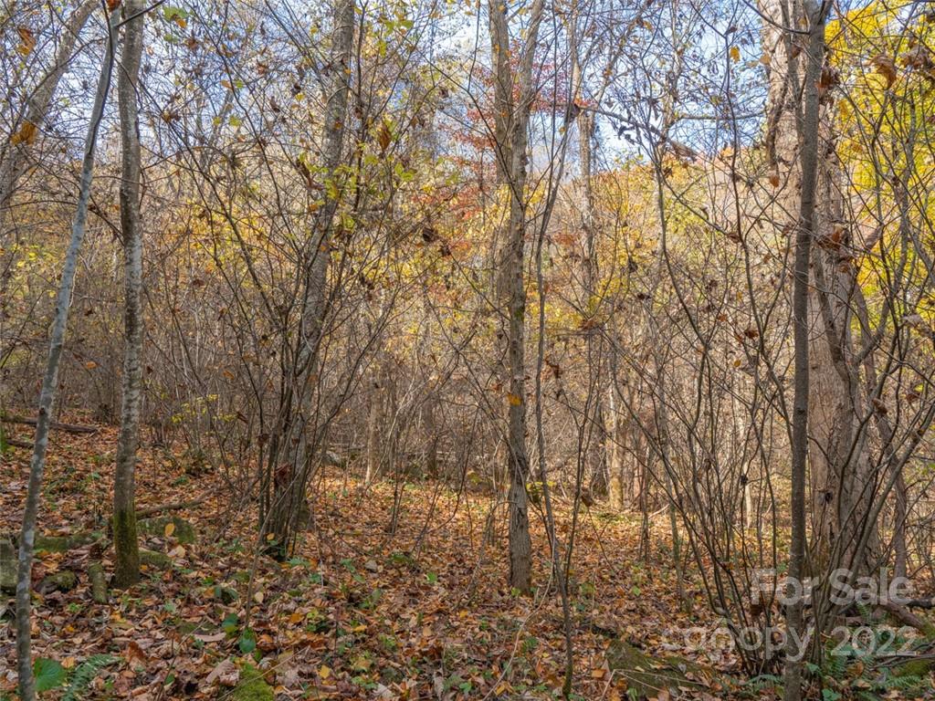 0 Drake Cove Road Mars Hill, NC 28754 - Photo 19 of 33 a view of a yard