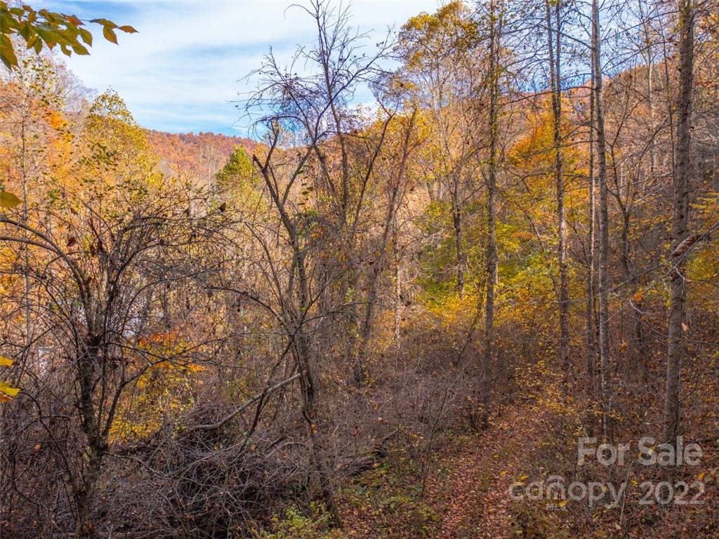 0 Drake Cove Road Mars Hill, NC 28754 - Photo 2 of 33 a view of mountain view with lots of trees