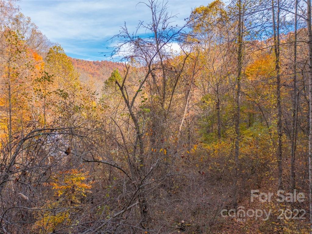 0 Drake Cove Road Mars Hill, NC 28754 - Photo 24 of 33 a view of a forest