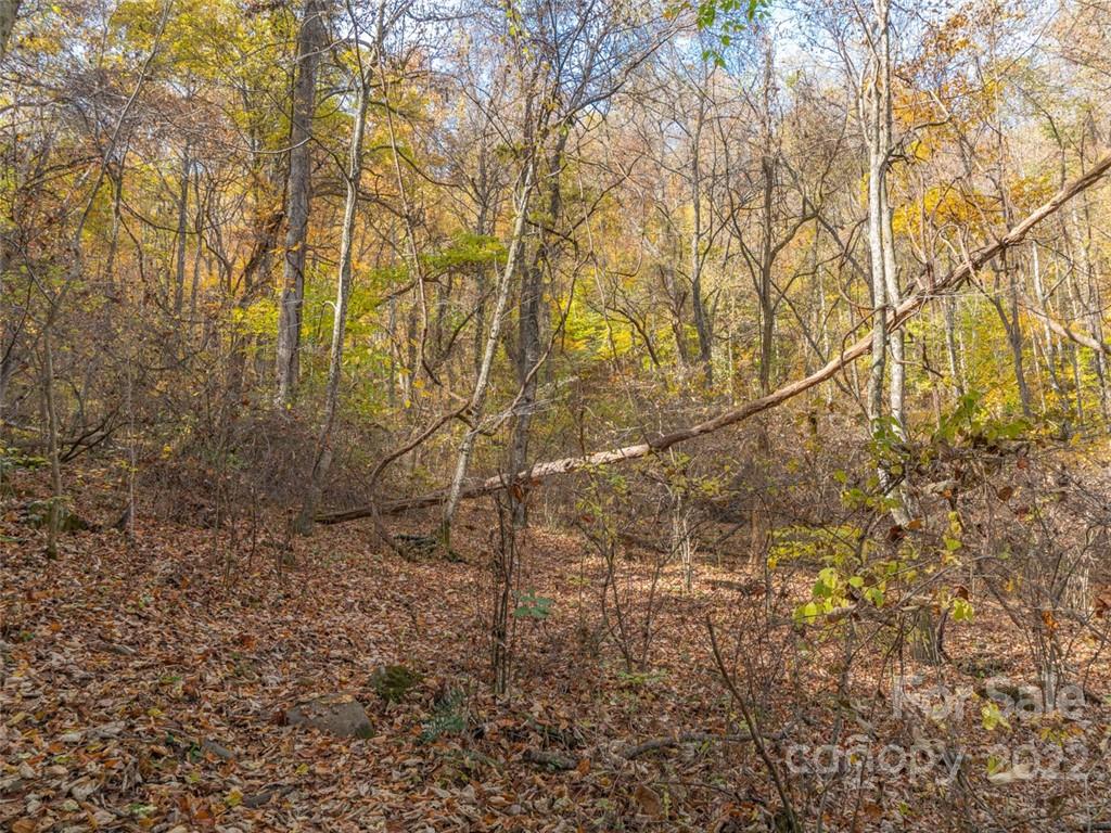 0 Drake Cove Road Mars Hill, NC 28754 - Photo 26 of 33 a view of a yard with a tree