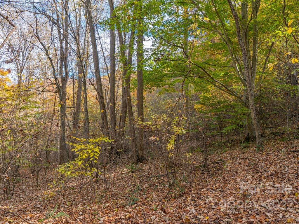 0 Drake Cove Road Mars Hill, NC 28754 - Photo 27 of 33 a view of a yard with plants and trees