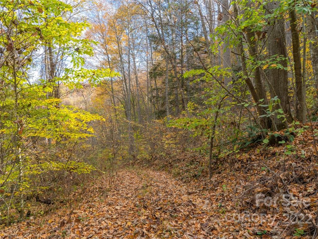 0 Drake Cove Road Mars Hill, NC 28754 - Photo 30 of 33 a view of a yard with a tree
