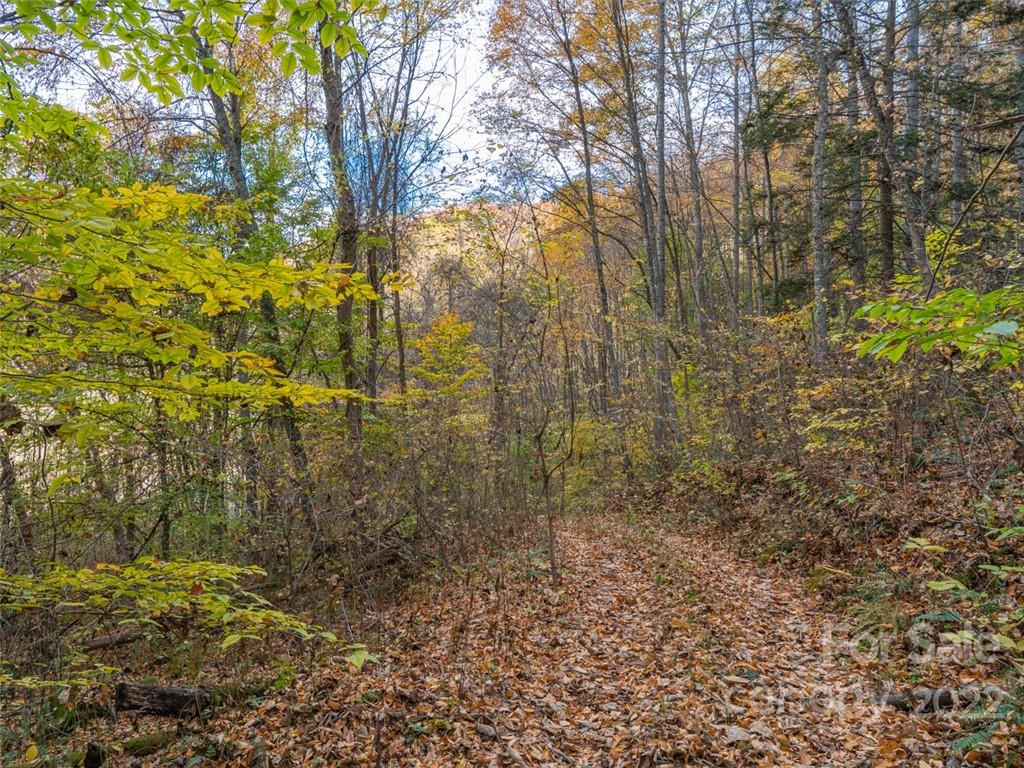 0 Drake Cove Road Mars Hill, NC 28754 - Photo 3 of 33 a view of a yard