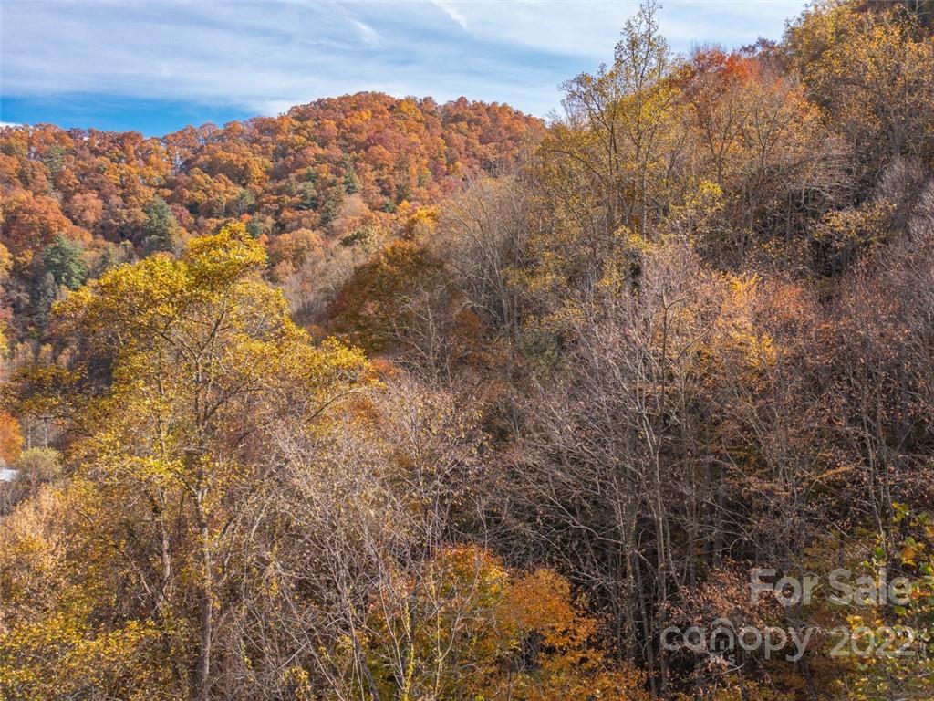 0 Drake Cove Road Mars Hill, NC 28754 - Photo 31 of 33