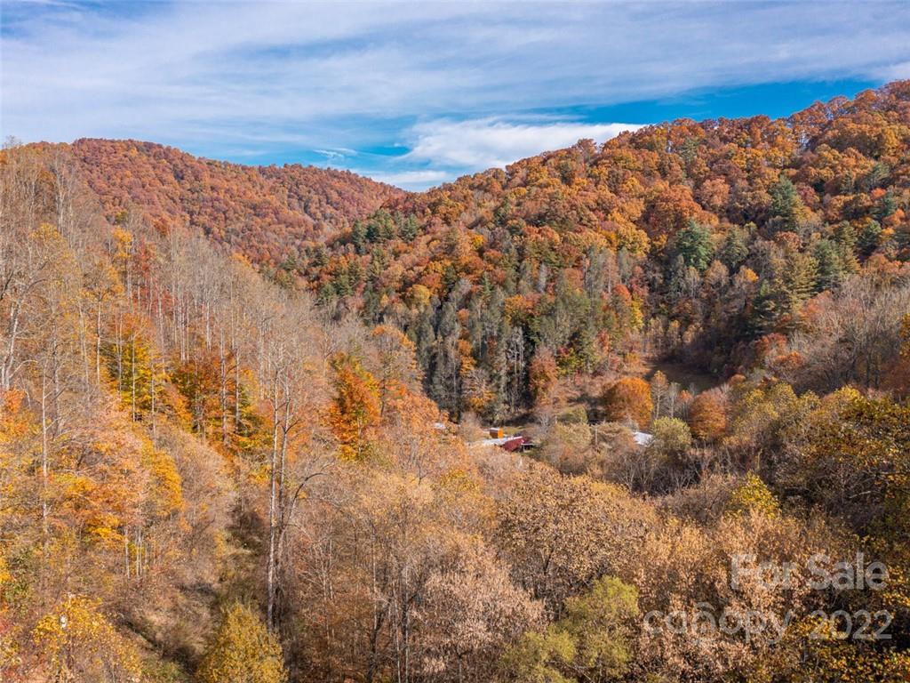 0 Drake Cove Road Mars Hill, NC 28754 - Photo 32 of 33 a view of mountain