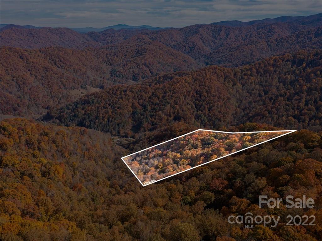 0 Drake Cove Road Mars Hill, NC 28754 - Photo 6 of 33