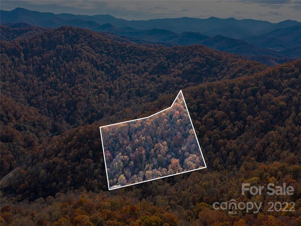 0 Drake Cove Road Mars Hill, NC 28754 - Photo 9 of 33