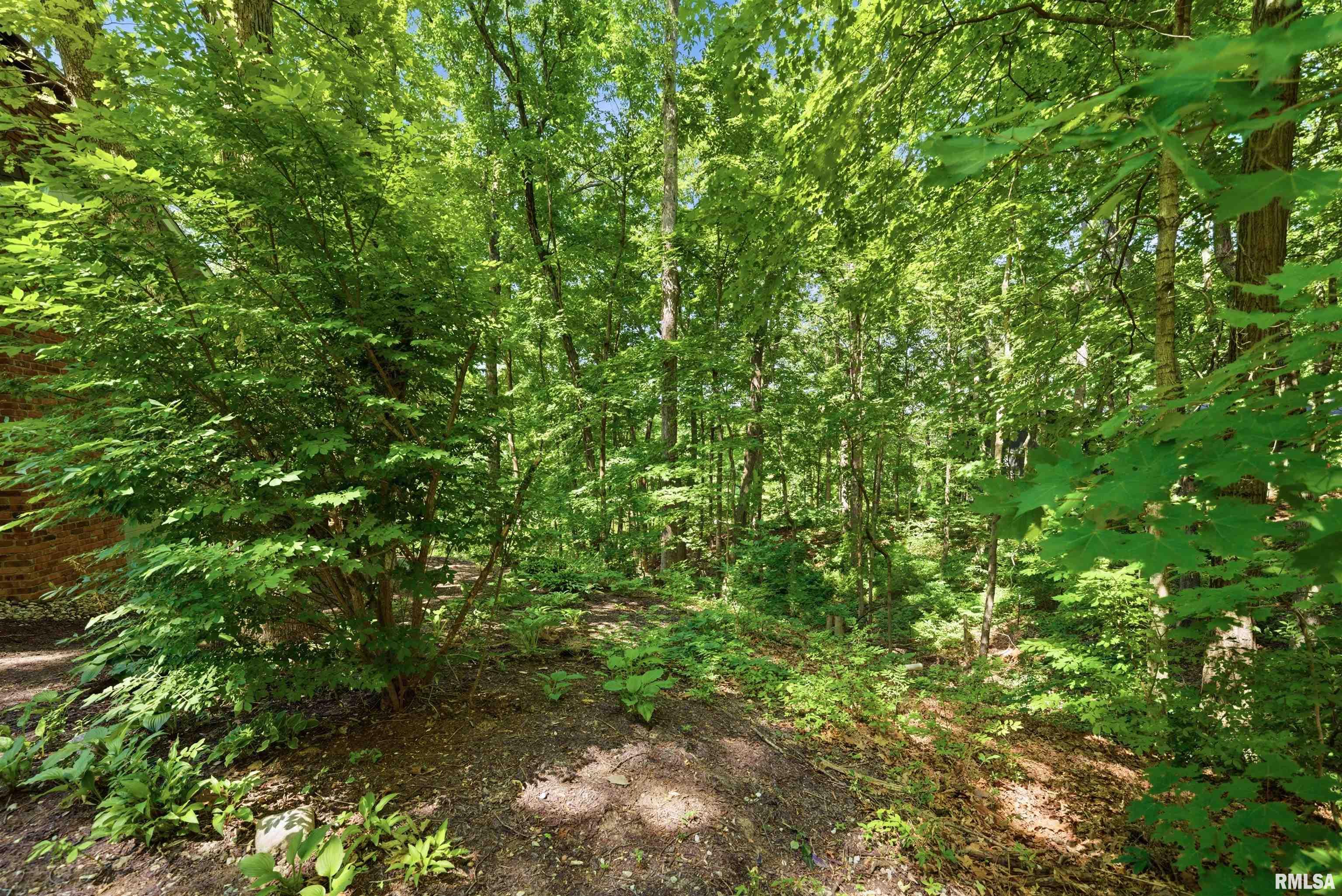 1323 East Truitt Road Chillicothe, IL 61523 - Photo 84 of 96