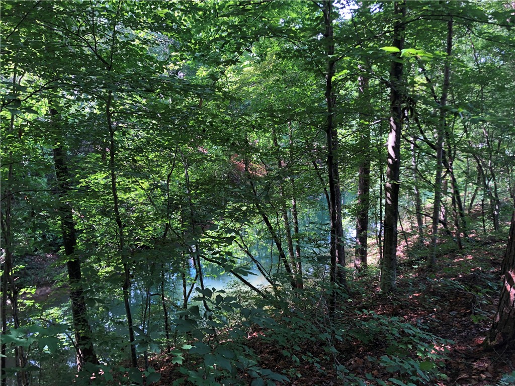 Lot 2 Ellenburg Road Seneca, SC 29672 - Photo 3 of 17