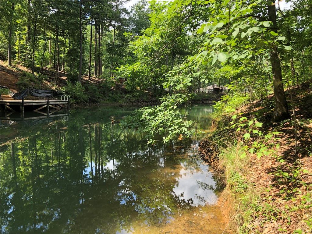 Lot 2 Ellenburg Road Seneca, SC 29672 - Photo 6 of 17