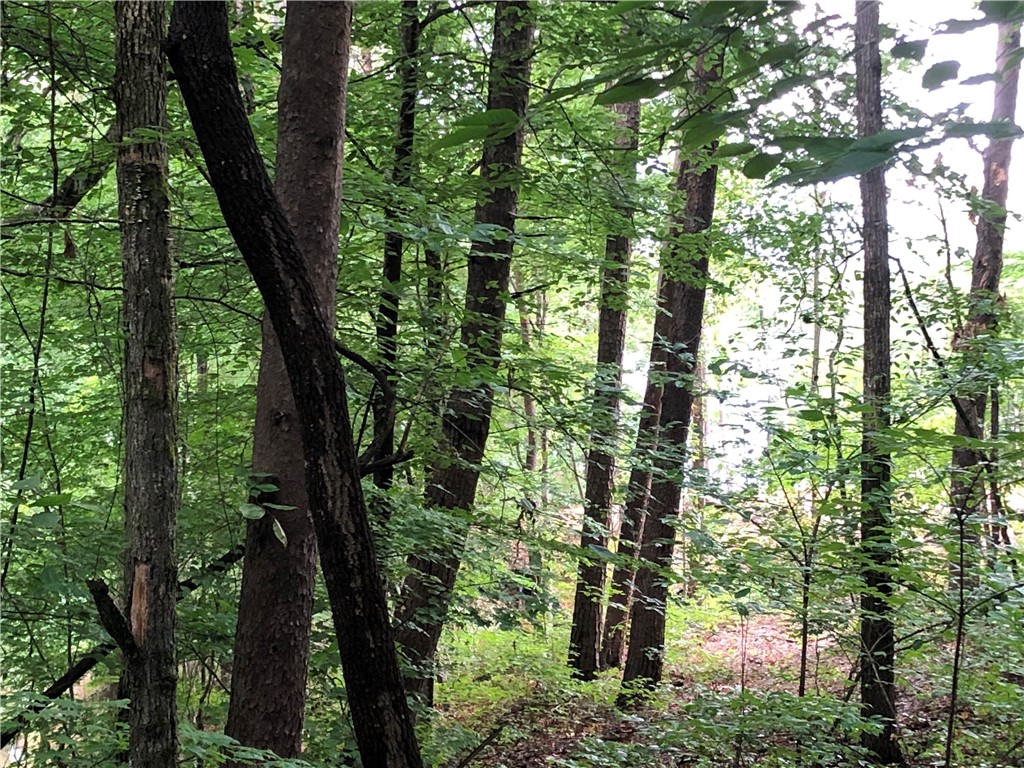 Lot 2 Ellenburg Road Seneca, SC 29672 - Photo 8 of 17