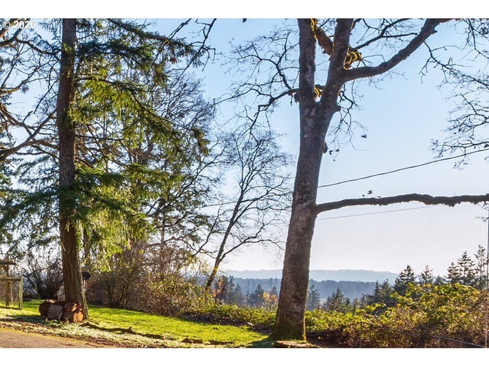 4210 Northeast Breyman Orchards Road Dayton, OR 97114 - Photo 2 of 48 a view of a tree in front of a tree