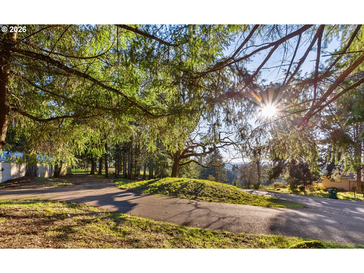 4210 Northeast Breyman Orchards Road Dayton, OR 97114 - Photo 30 of 48 a view of street with large trees