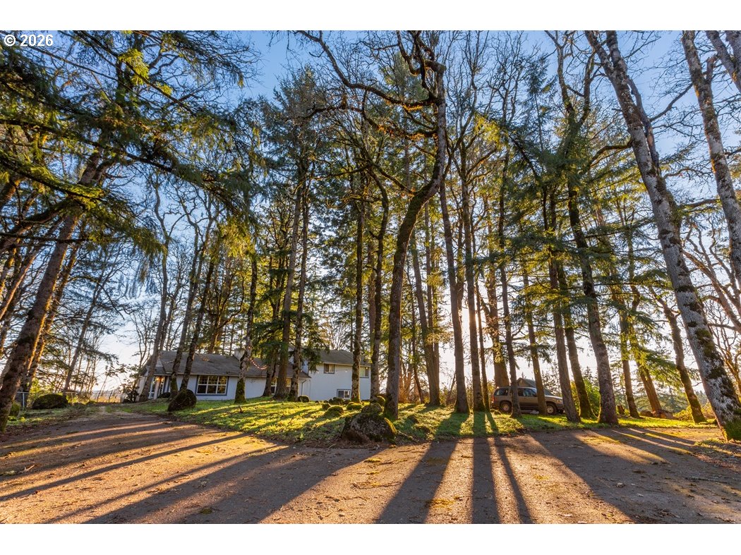 4210 Northeast Breyman Orchards Road Dayton, OR 97114 - Photo 3 of 48 a view of outdoor space with street view