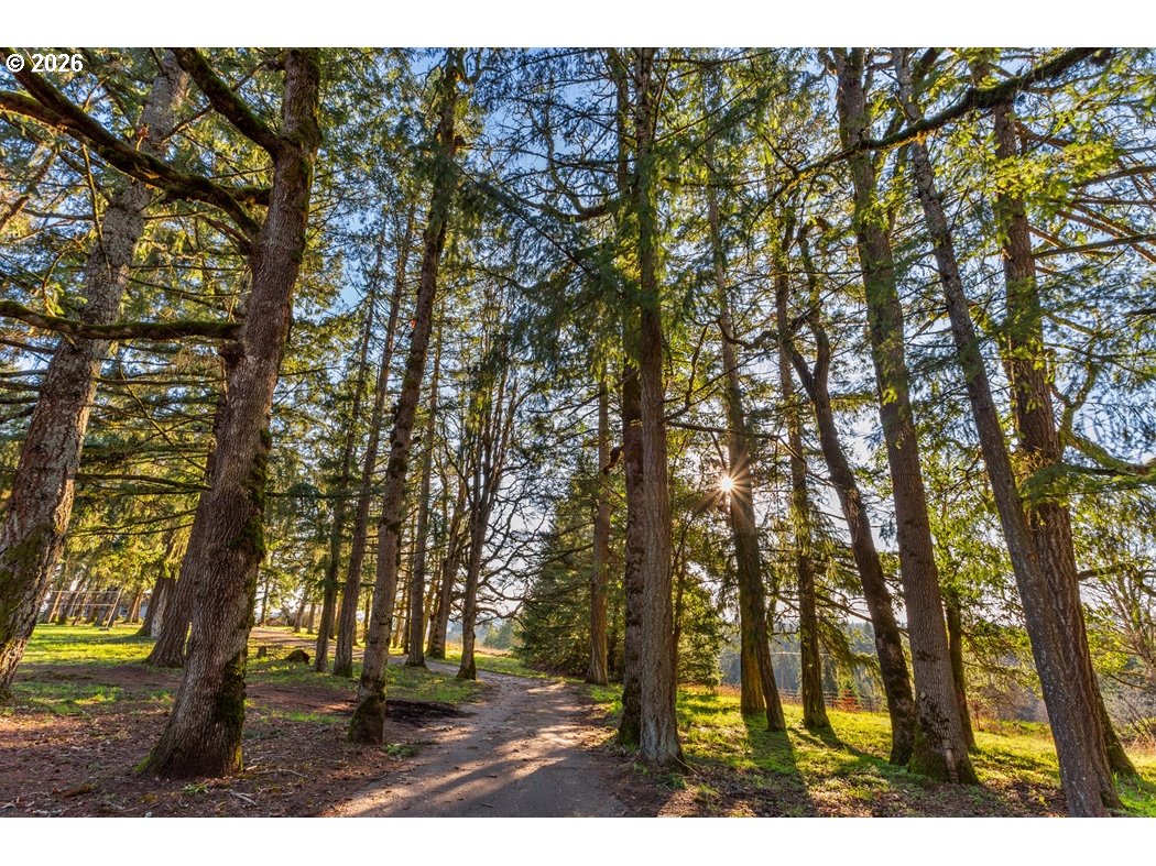 4210 Northeast Breyman Orchards Road Dayton, OR 97114 - Photo 32 of 48 a view of outdoor space with yard