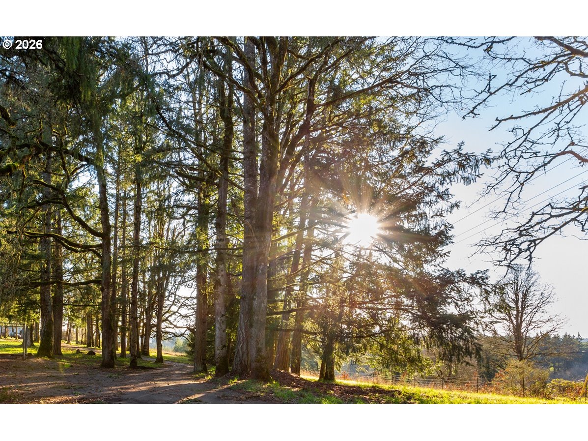 4210 Northeast Breyman Orchards Road Dayton, OR 97114 - Photo 33 of 48