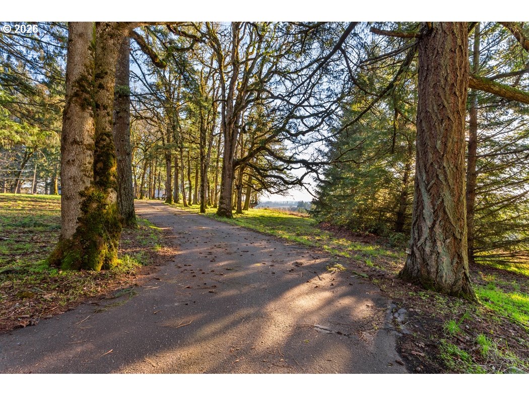 4210 Northeast Breyman Orchards Road Dayton, OR 97114 - Photo 34 of 48 a view of outdoor space with trees