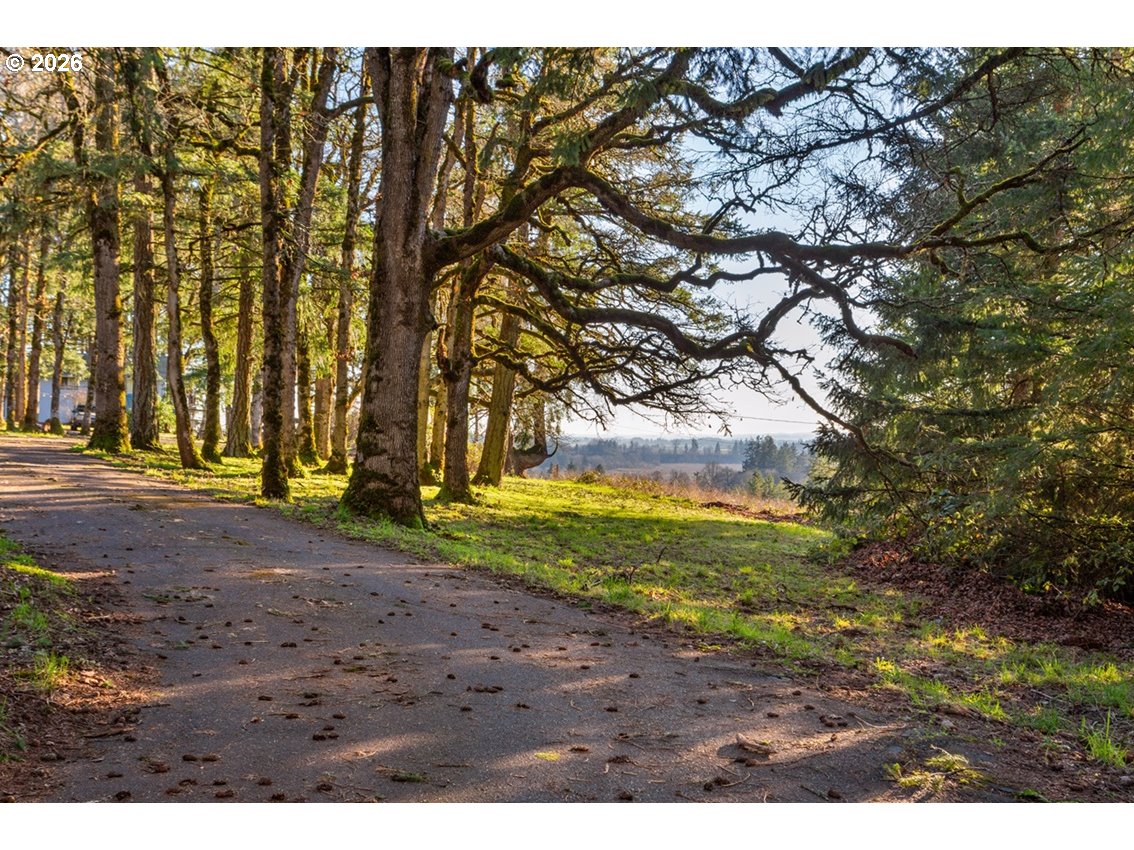 4210 Northeast Breyman Orchards Road Dayton, OR 97114 - Photo 35 of 48 a view of outdoor space with trees
